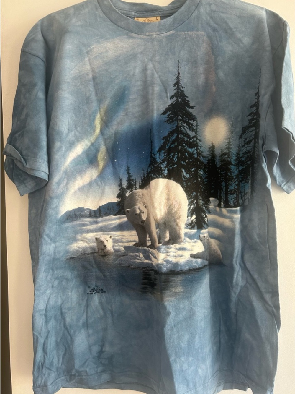 The Mountain Light Blue Graphic Tee with Subtle Tie-Dye